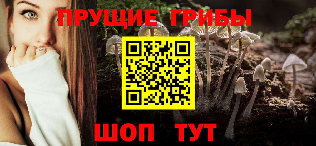 Псилоцибиновые грибы GOLDEN TEACHER  Псилоцибиновые грибы мухоморы  Вход с VPN  Гагарин 