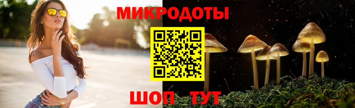 Псилоцибиновые грибы Psilocybine cubensis Гагарин